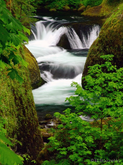 Eagle Cascades None