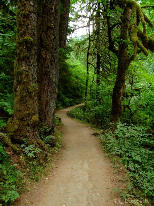 Eagle Creek Trail None