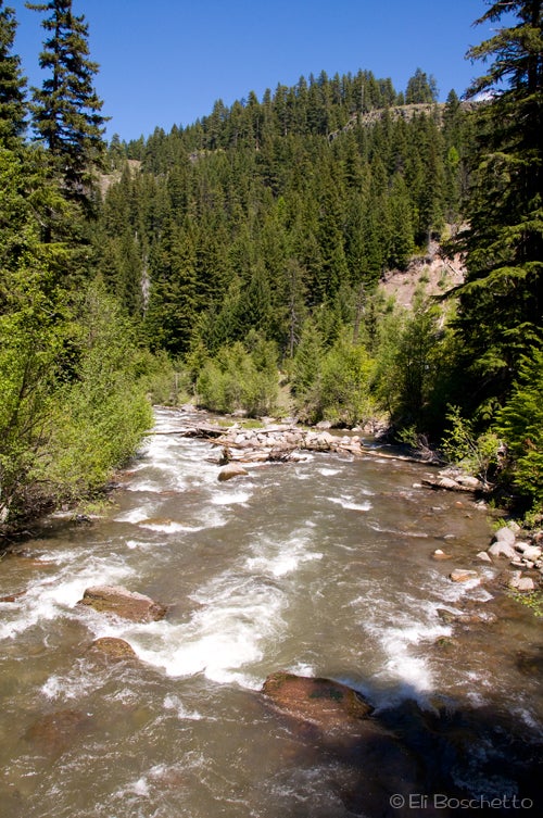 East Fork None