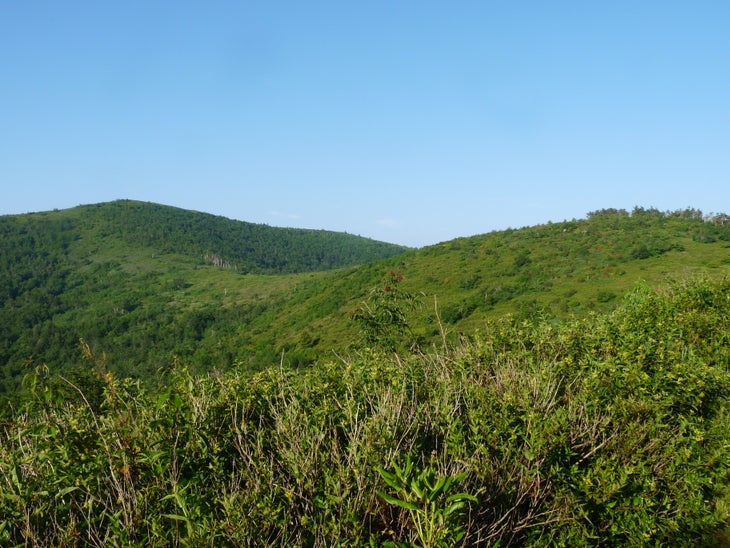 East Of Ivestor Gap None