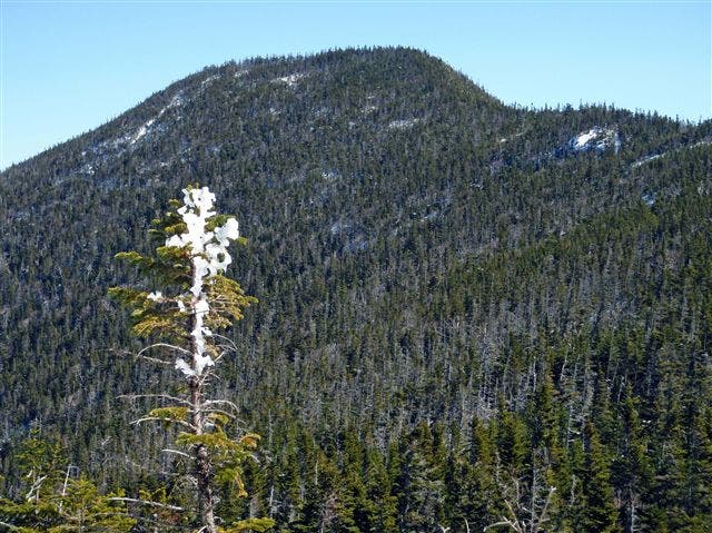 East Osceola View None