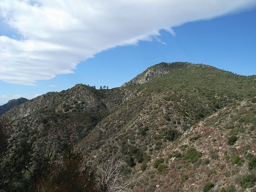 East Slope None