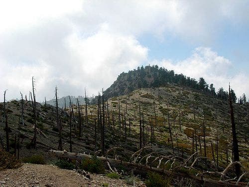 Eastern approach to Ontario None