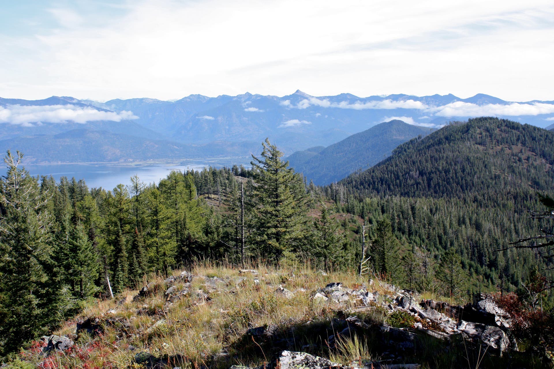 Eastern Panorama None