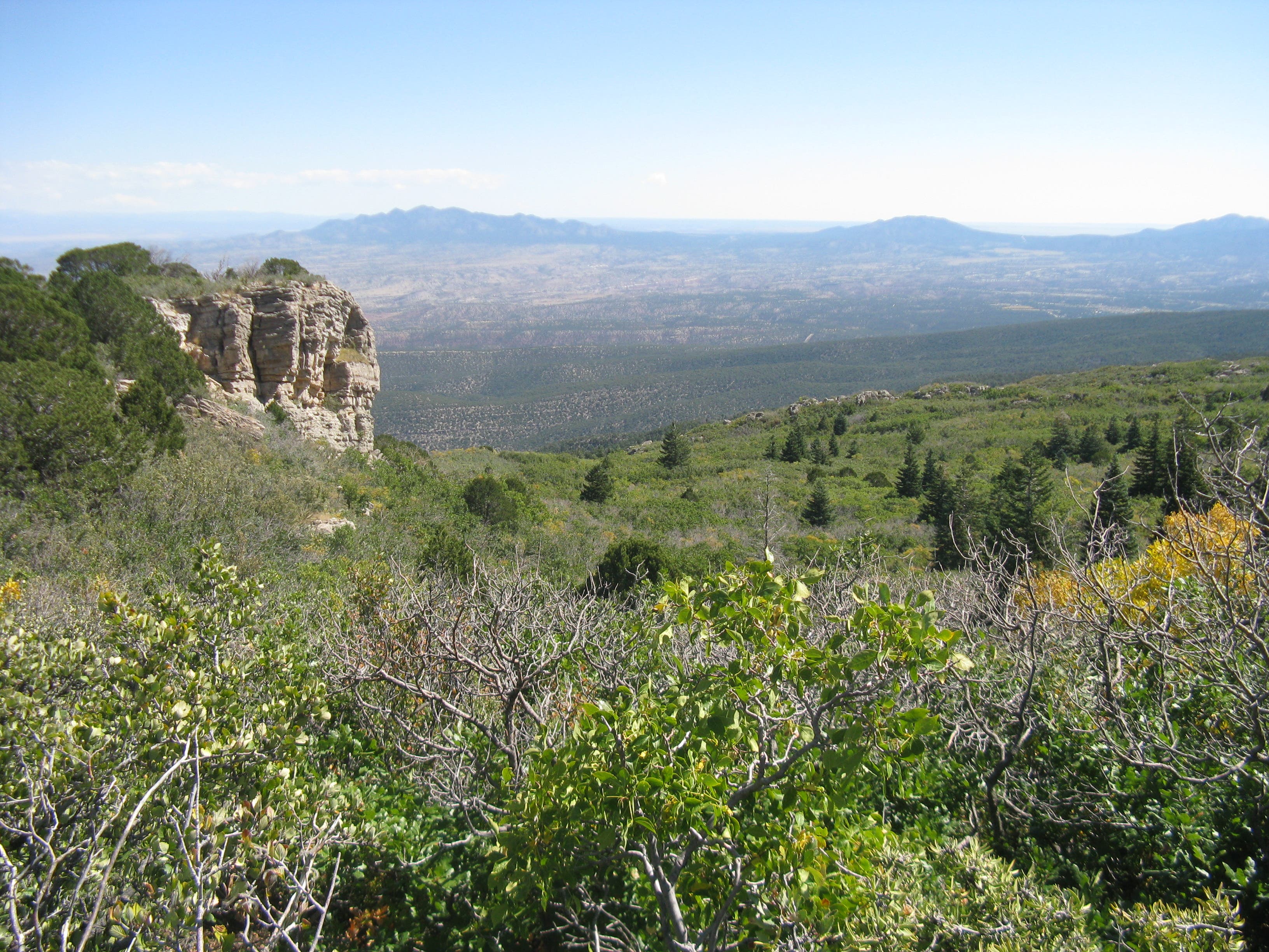 Eastern Panorama None