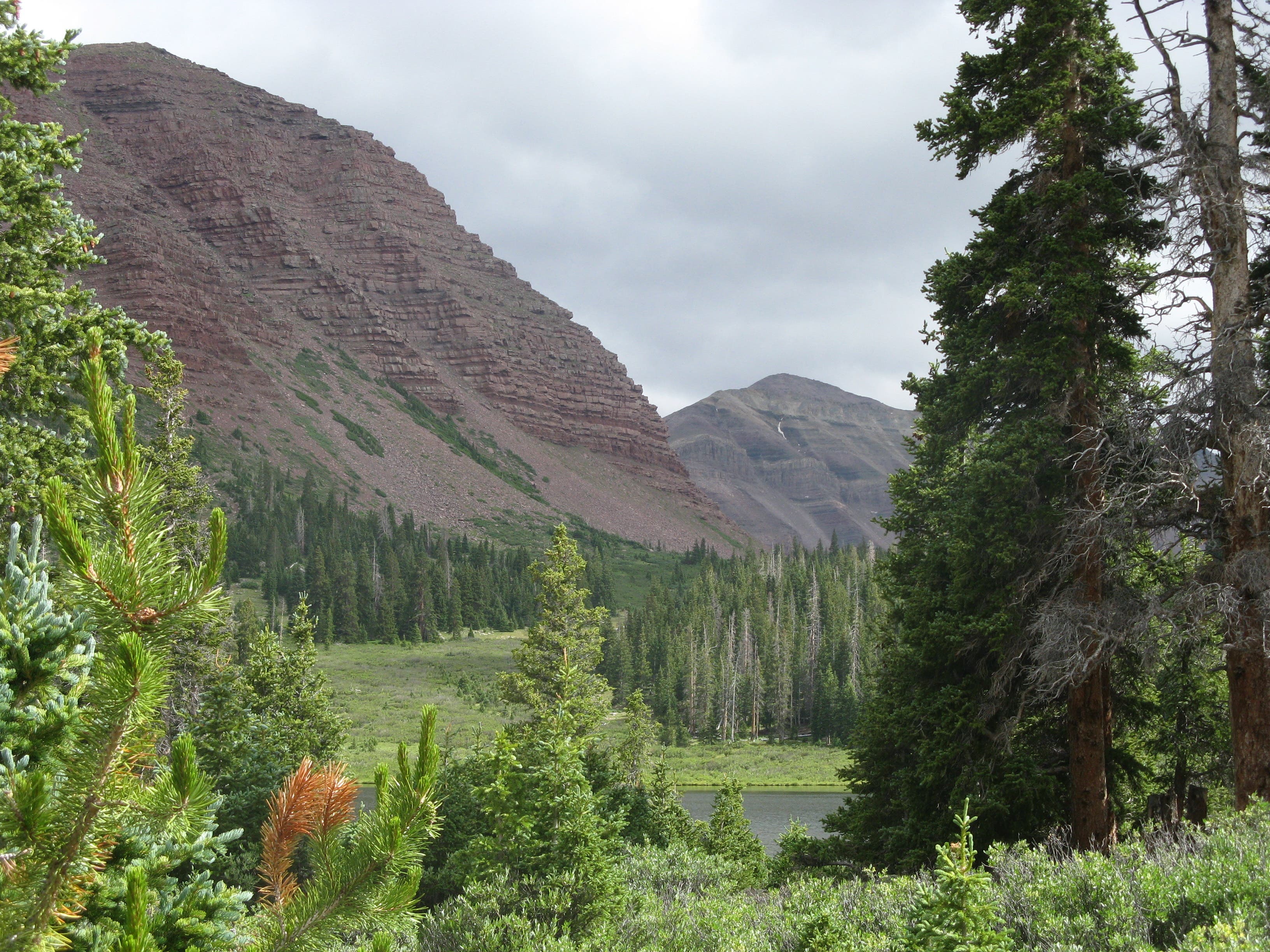 Eastern View From Dollar Lake None