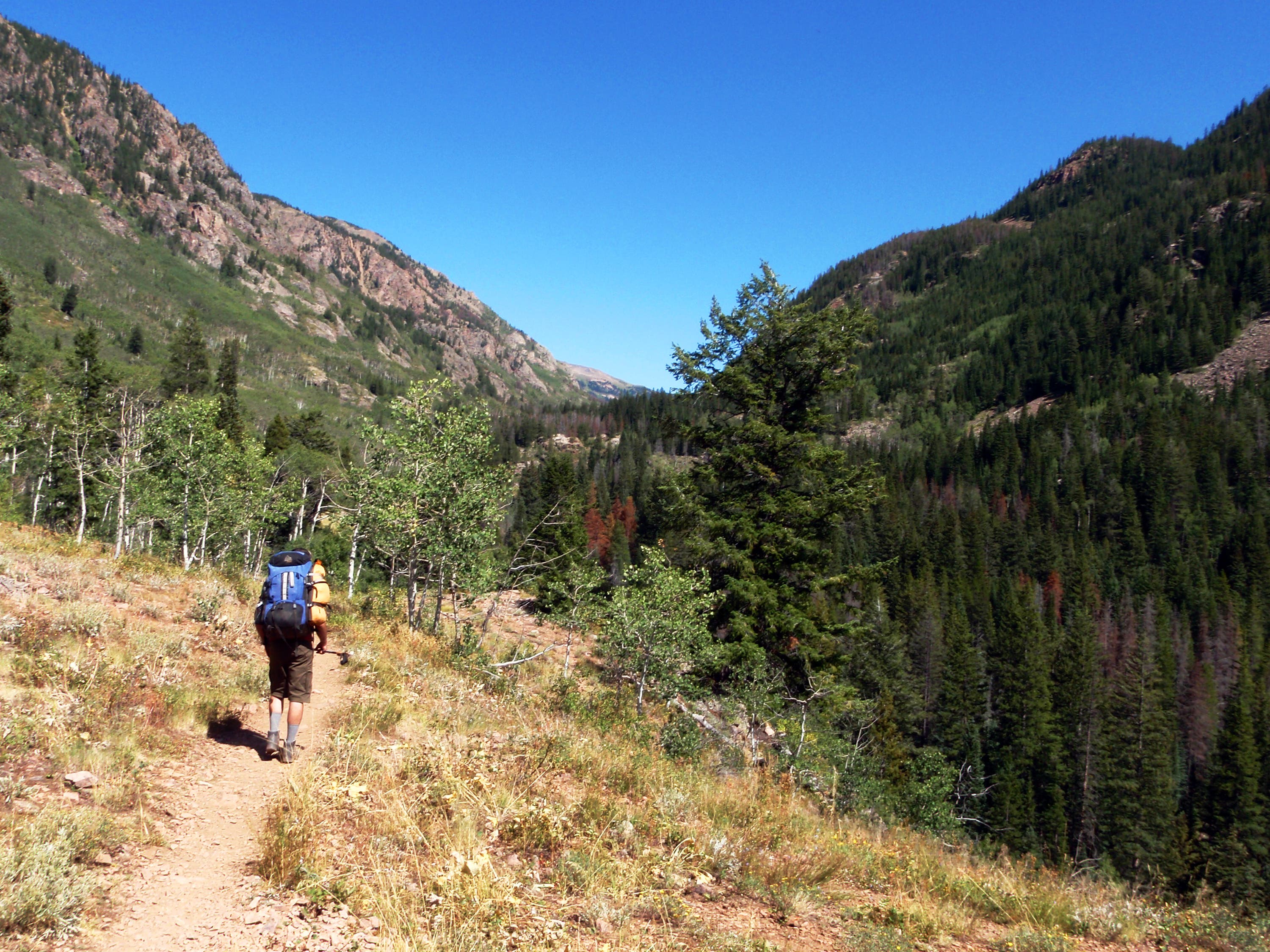 Eastern Views on Gore Creek Trail None