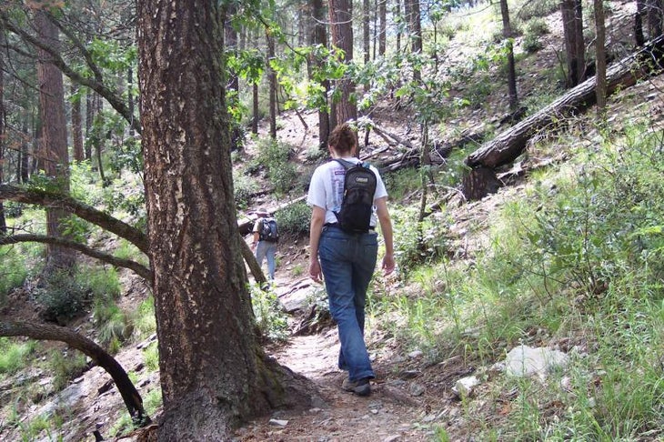 Easy Trail None