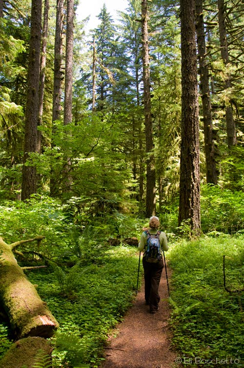 EBoschetto_Shellburg_2817.jpg None