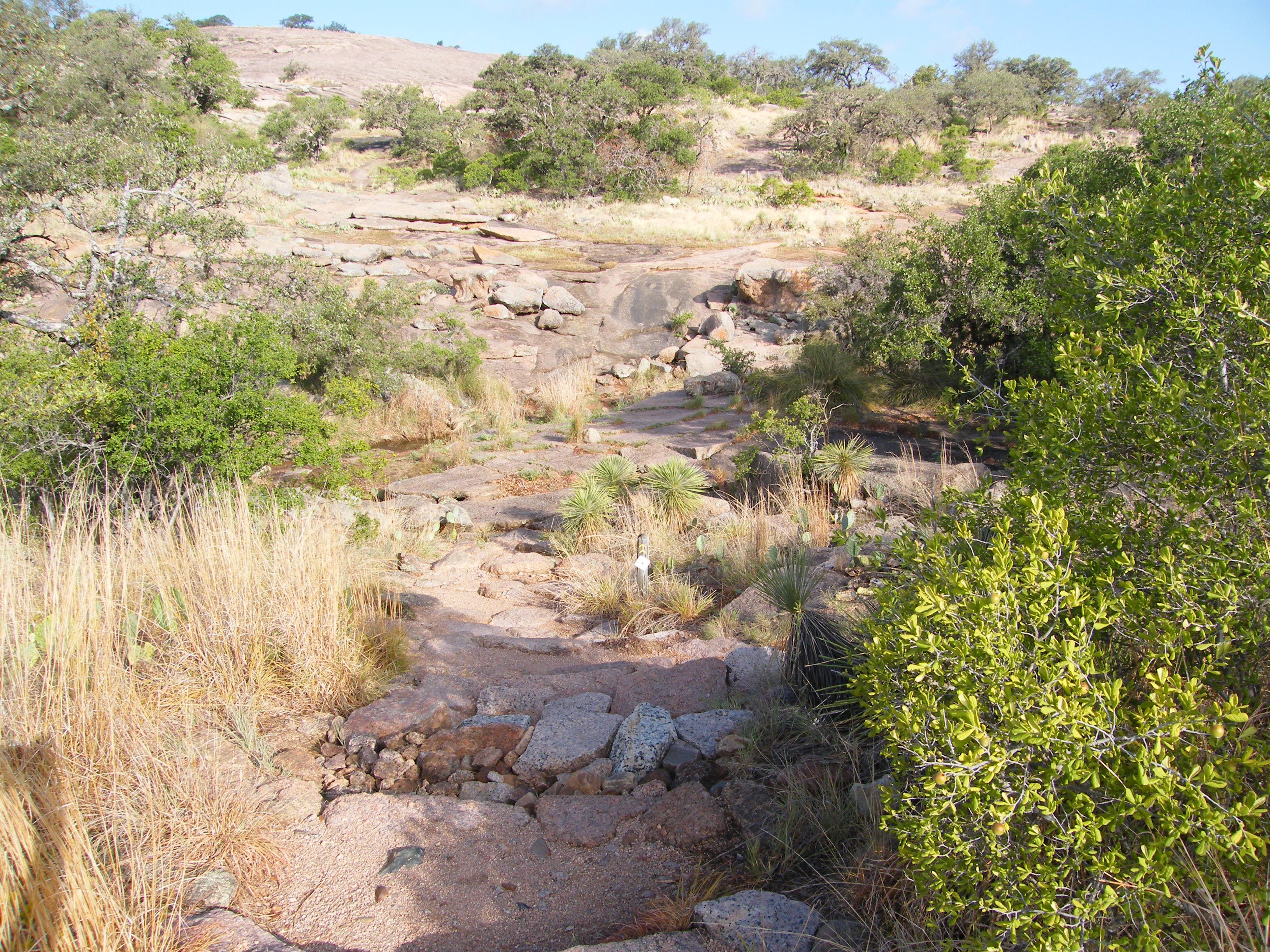 Echo Canyon Trail None
