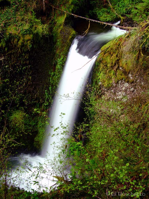 Ecola Falls None