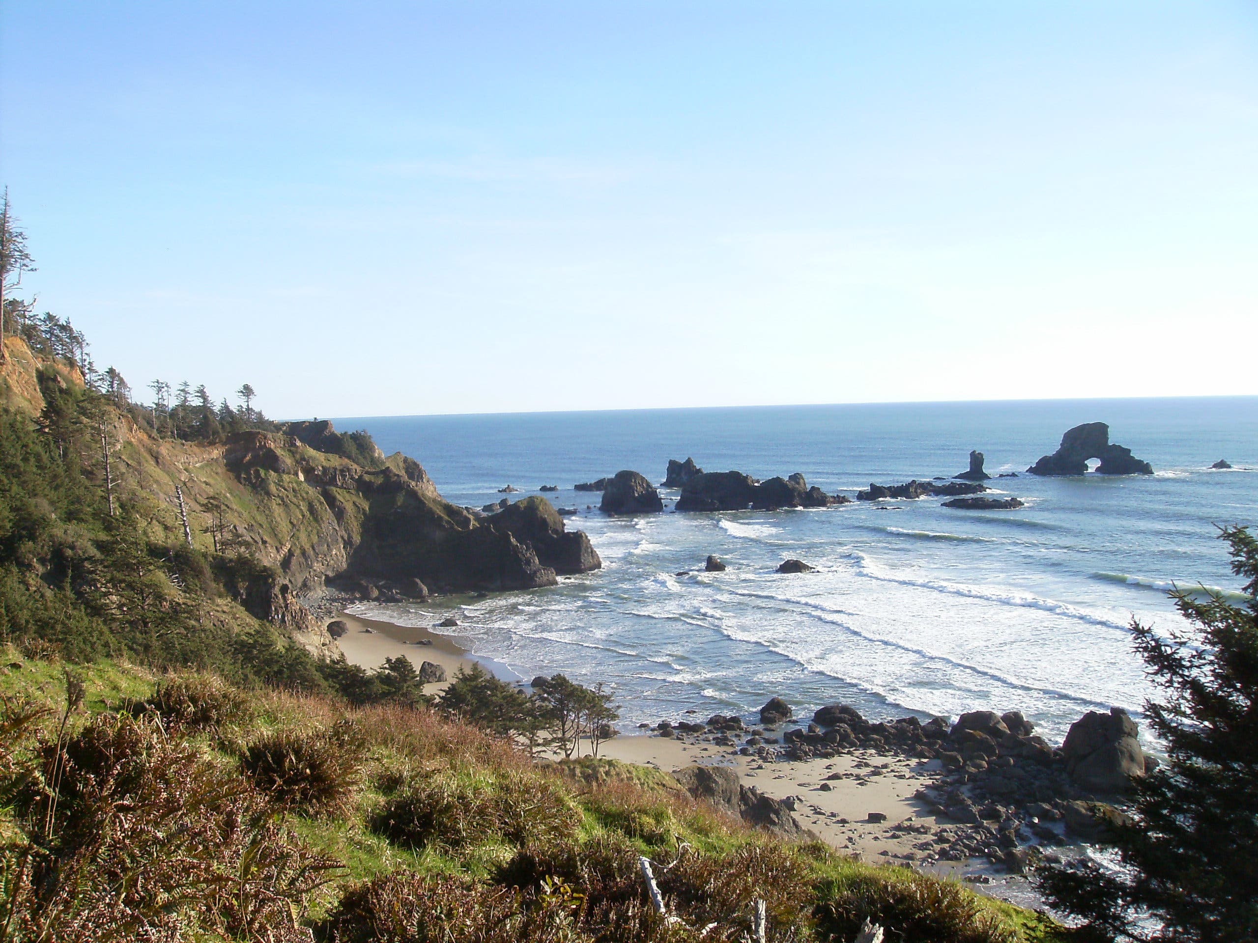 Ecola Point in Ecola State Park None