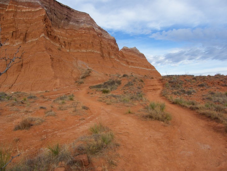 Effects of trail cutting None