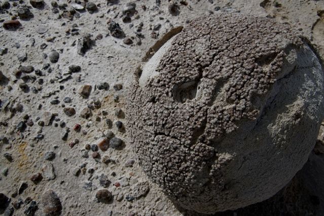 Egg Rock None