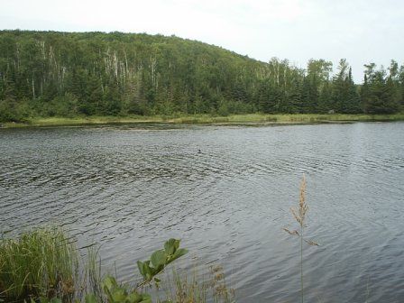 Egge Lake None