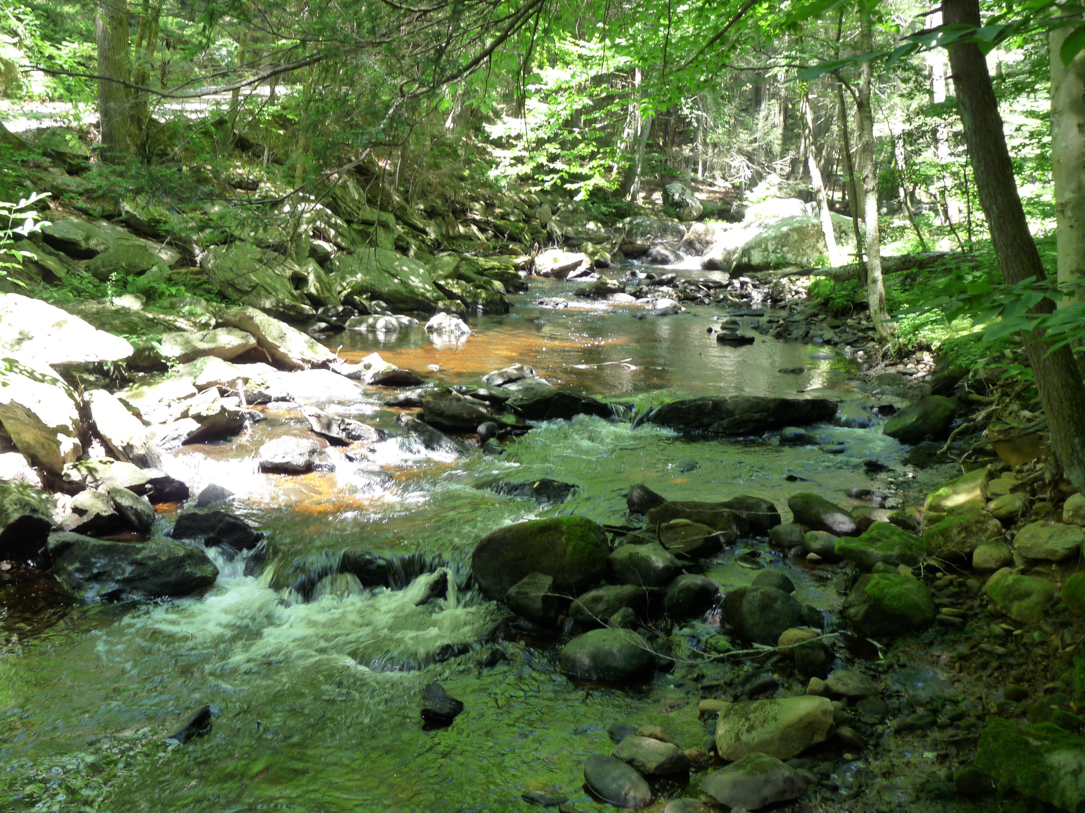 Eightmile River None