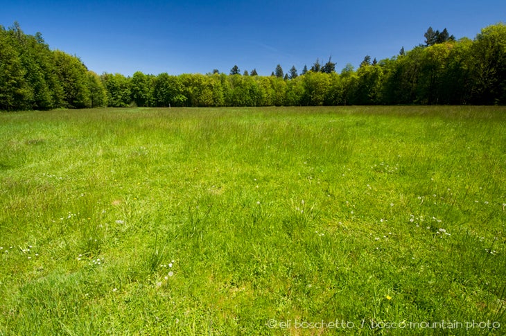 Elk Meadow None