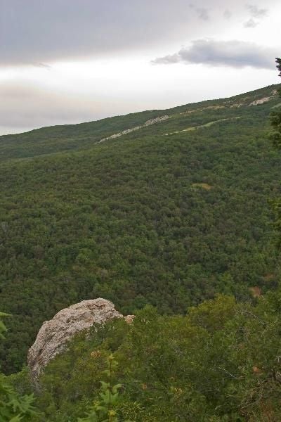 Emerald Hills None