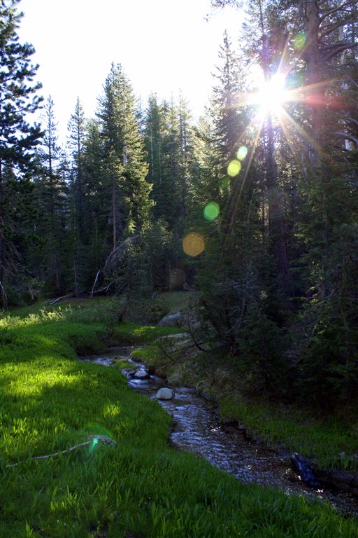Emigrant Meadow None