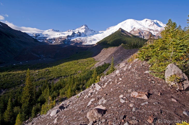 Emmons Glacier None