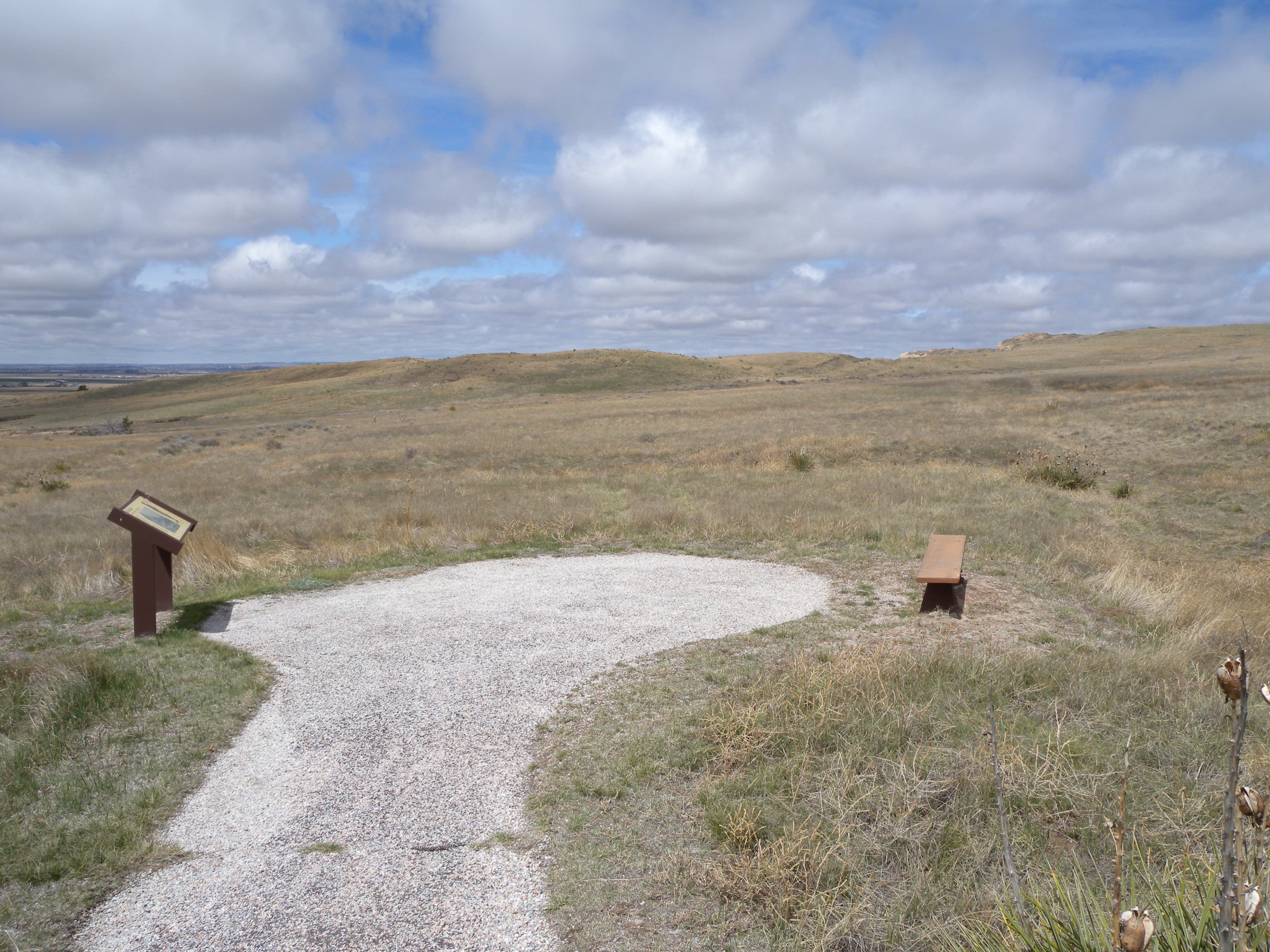 End of Mitchell Pass Trail None