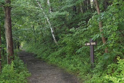 End of Rim Trail None