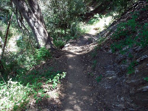End of Shade None