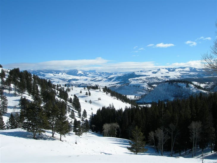 Yellowstone National Park: Blacktail Deer Plateau Snowshoe