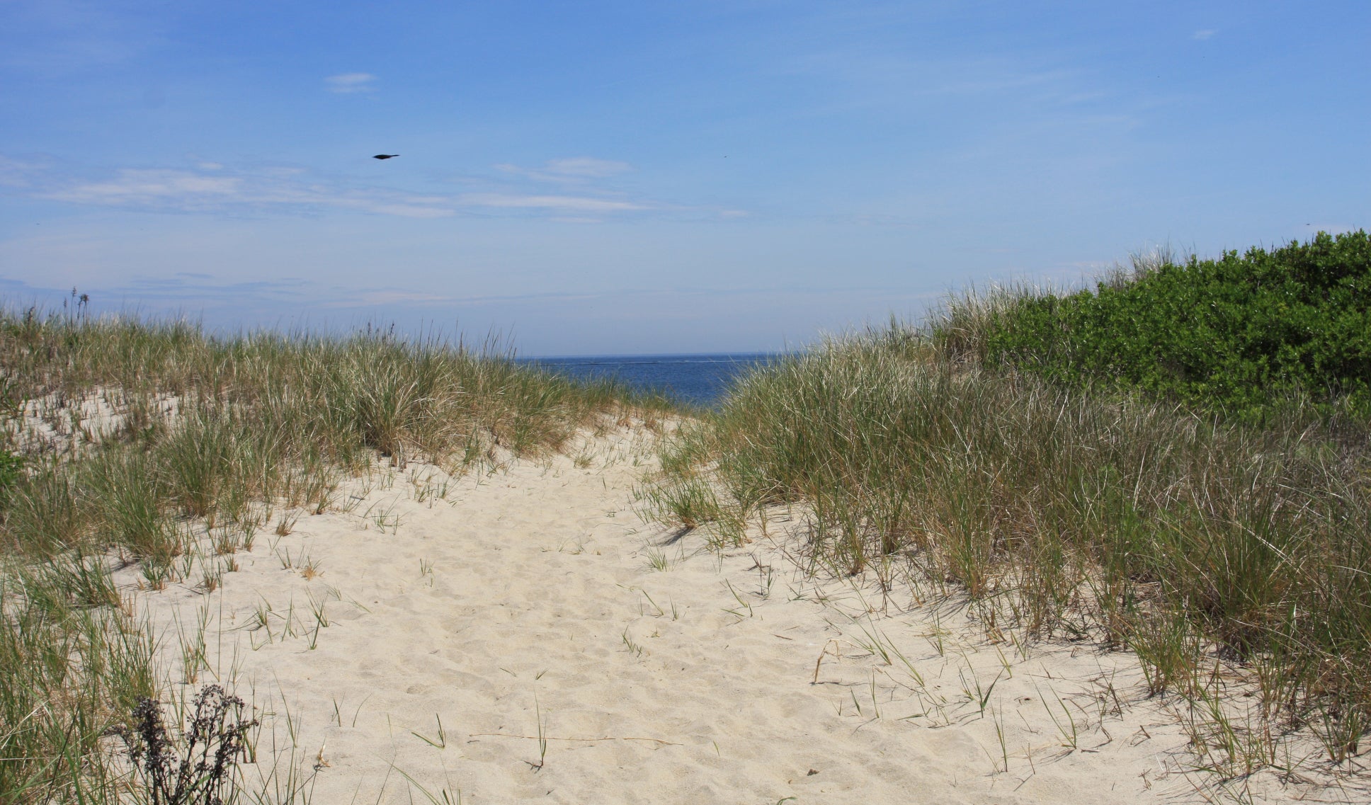 New York City: Sandy Hook