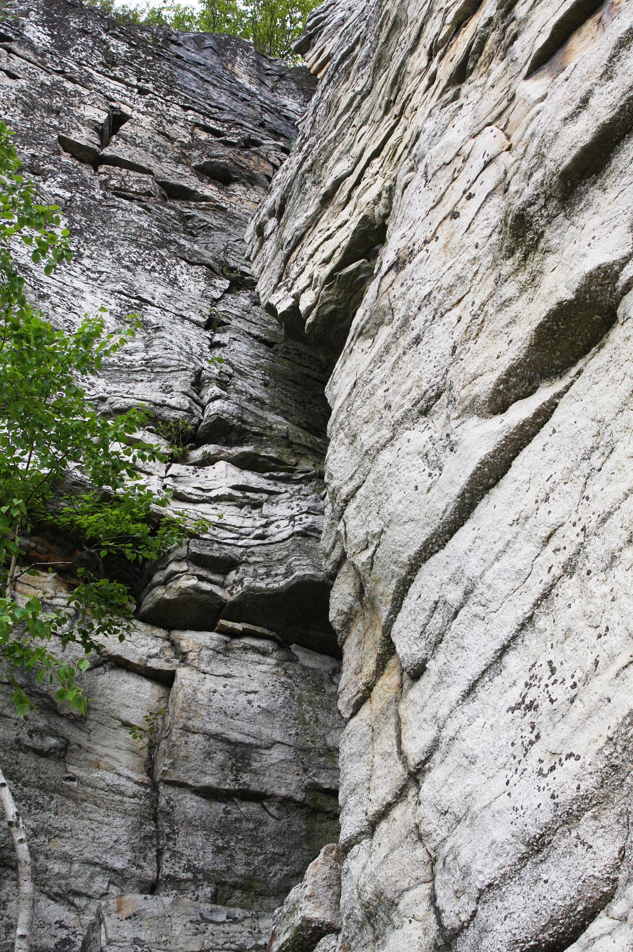 Entrance to the Crevice None