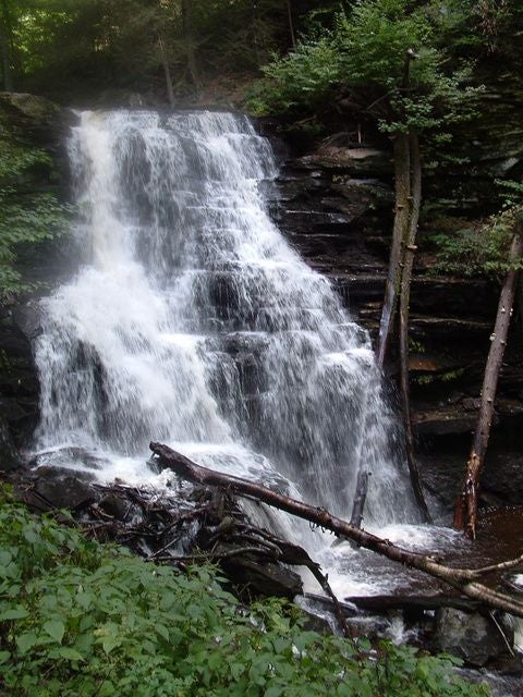 Scranton, PA: Falls Trail Loop to Adams Falls