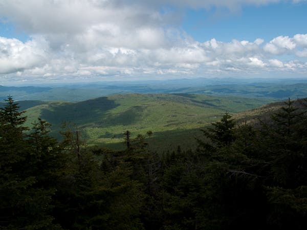 Ethan Allen Overlook None