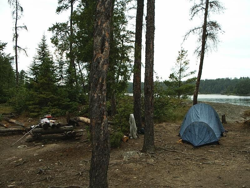 Excellent Campsite None