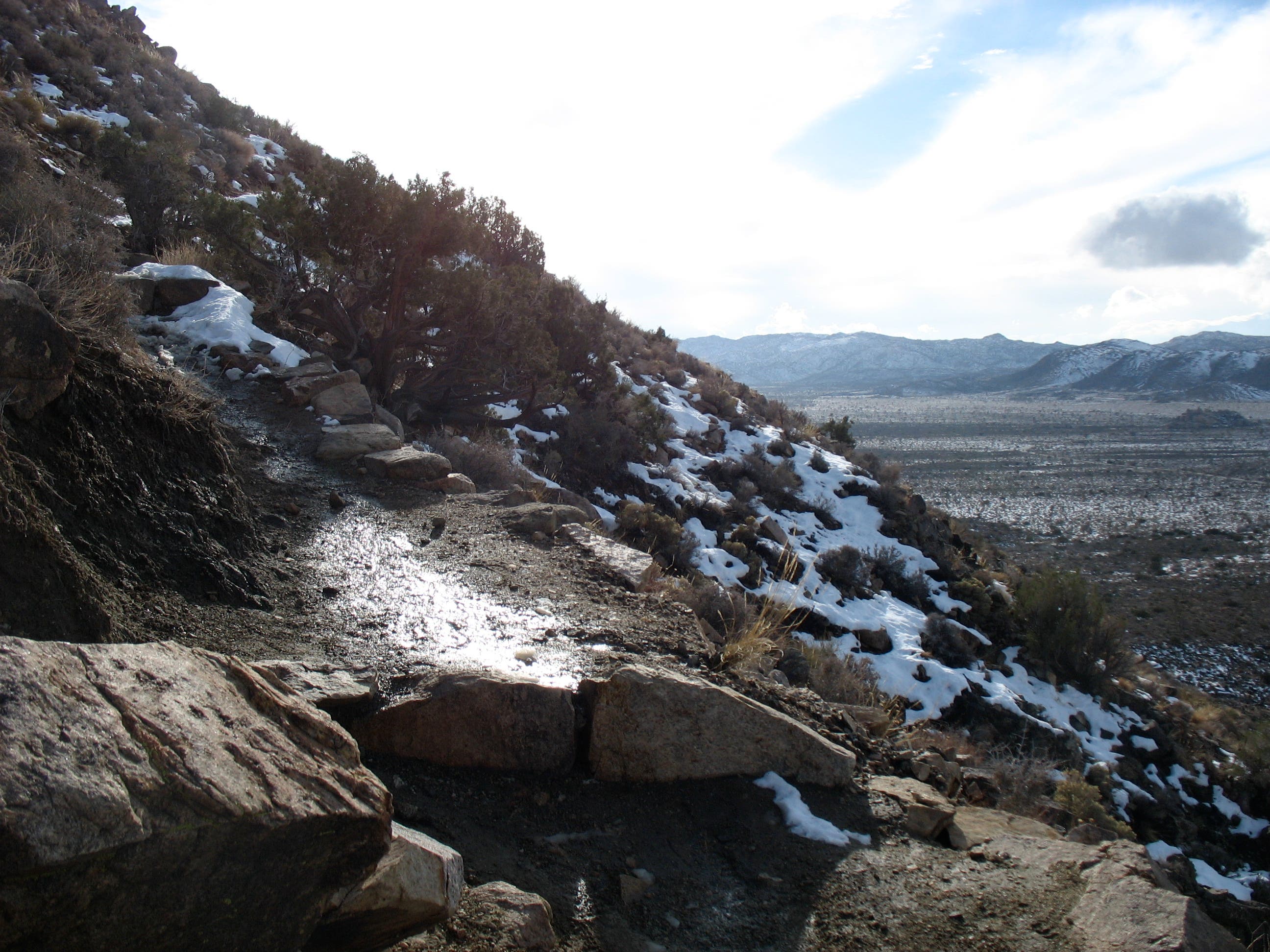 Expanding Views None