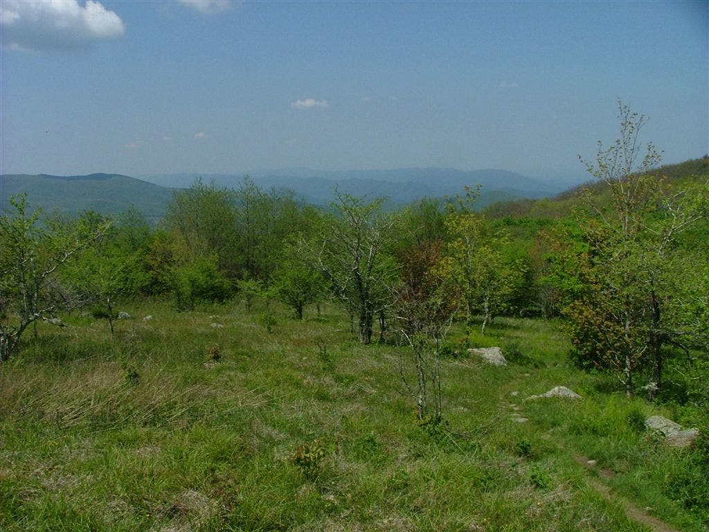 Expansive Views None