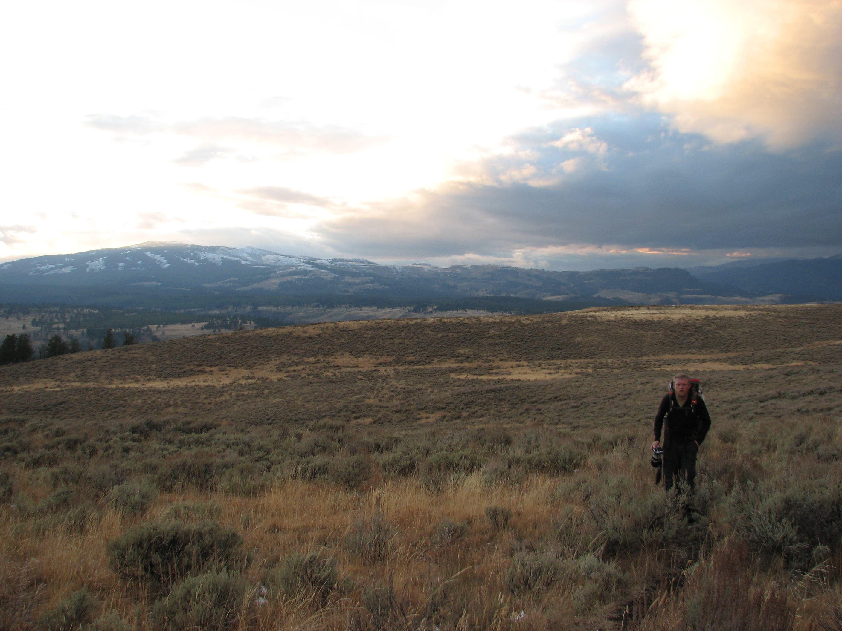 Expansive Views None