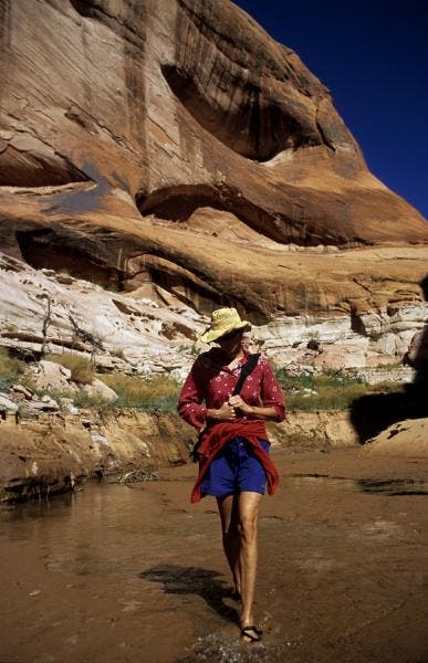 Explorer Canyon None