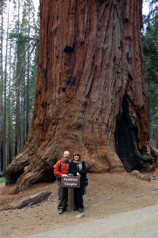 Faithful Couple None