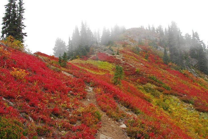 Fall Colors on Poet Ridge None