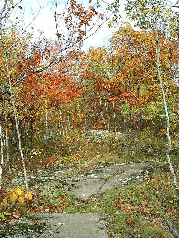 Fall colors on the trail None