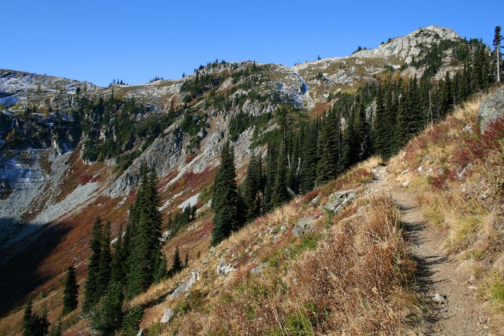 Fall colors on the trail None