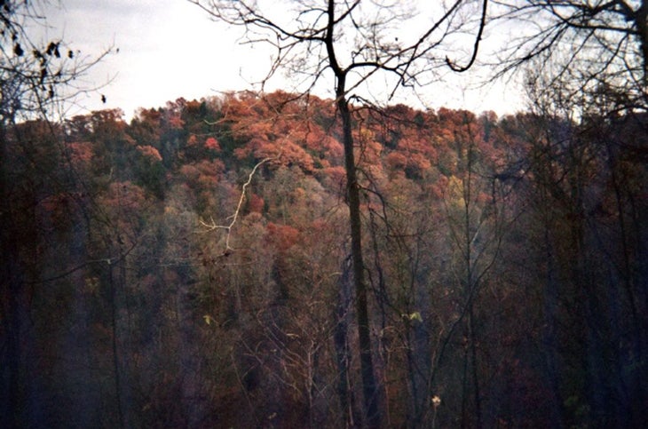 Fall Colors None