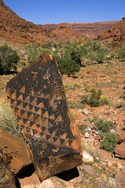 Glen Canyon National Recreation Area Cha Canyon