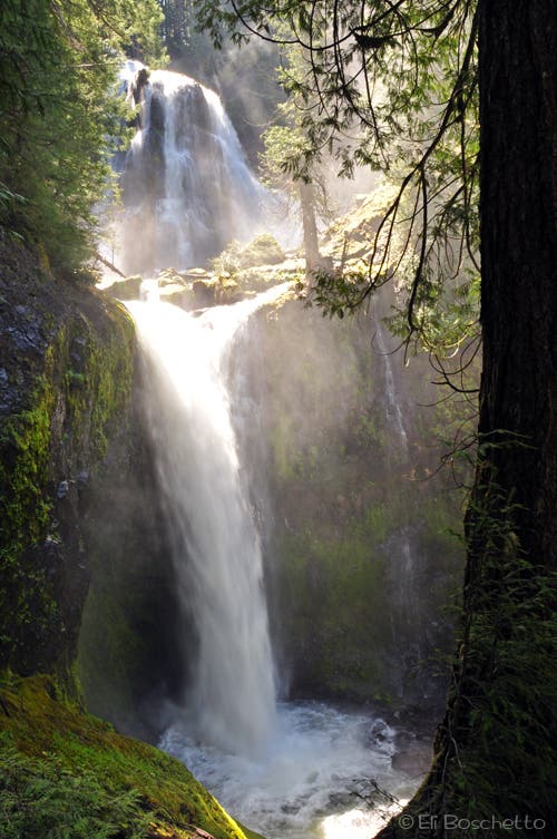 Falls Creek Falls None