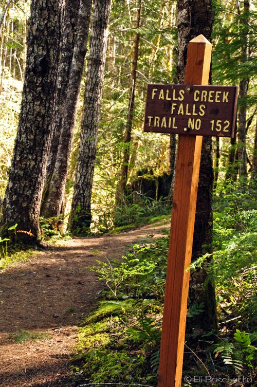 Falls Creek Trail None