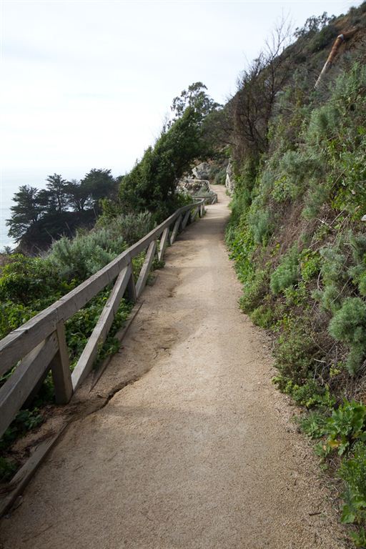 Falls Trail None