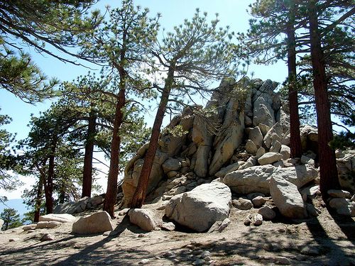 False Summit None