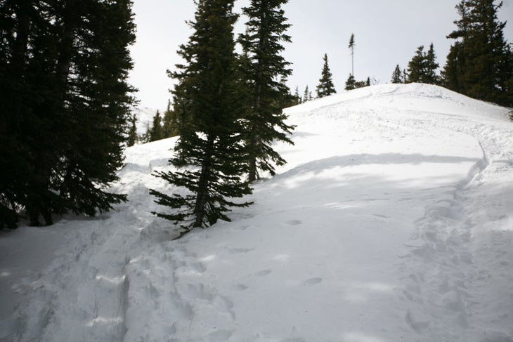 False Summit None