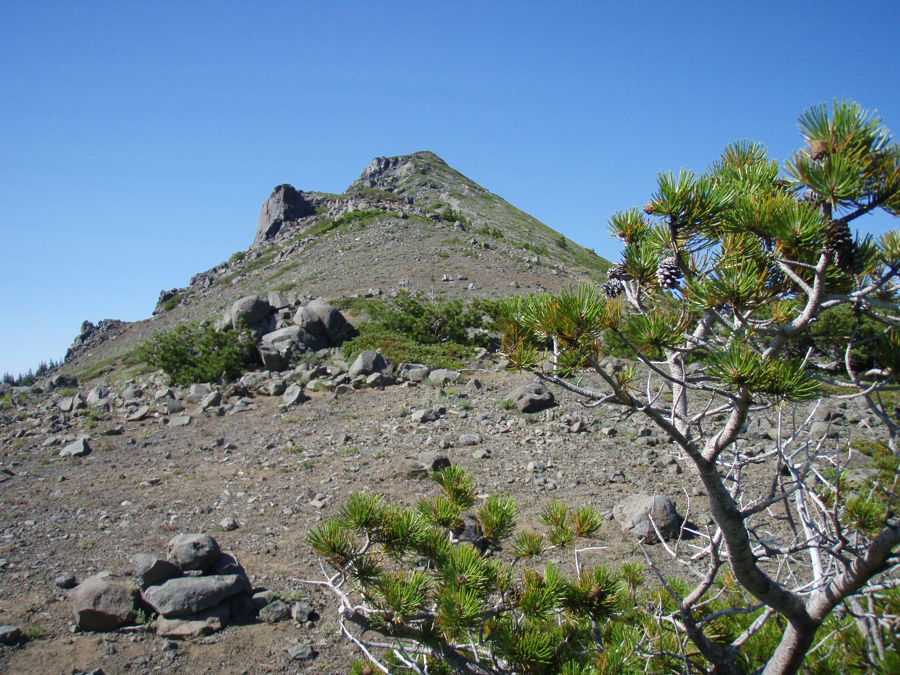 False summit view. None