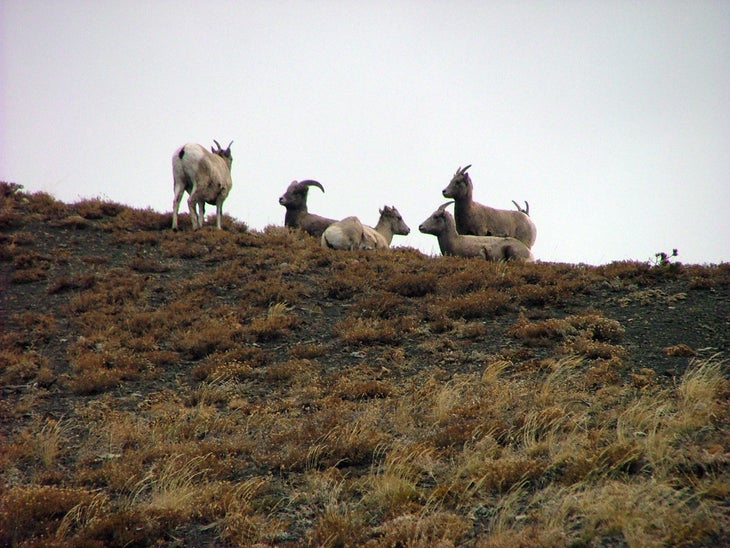 Family Outing None